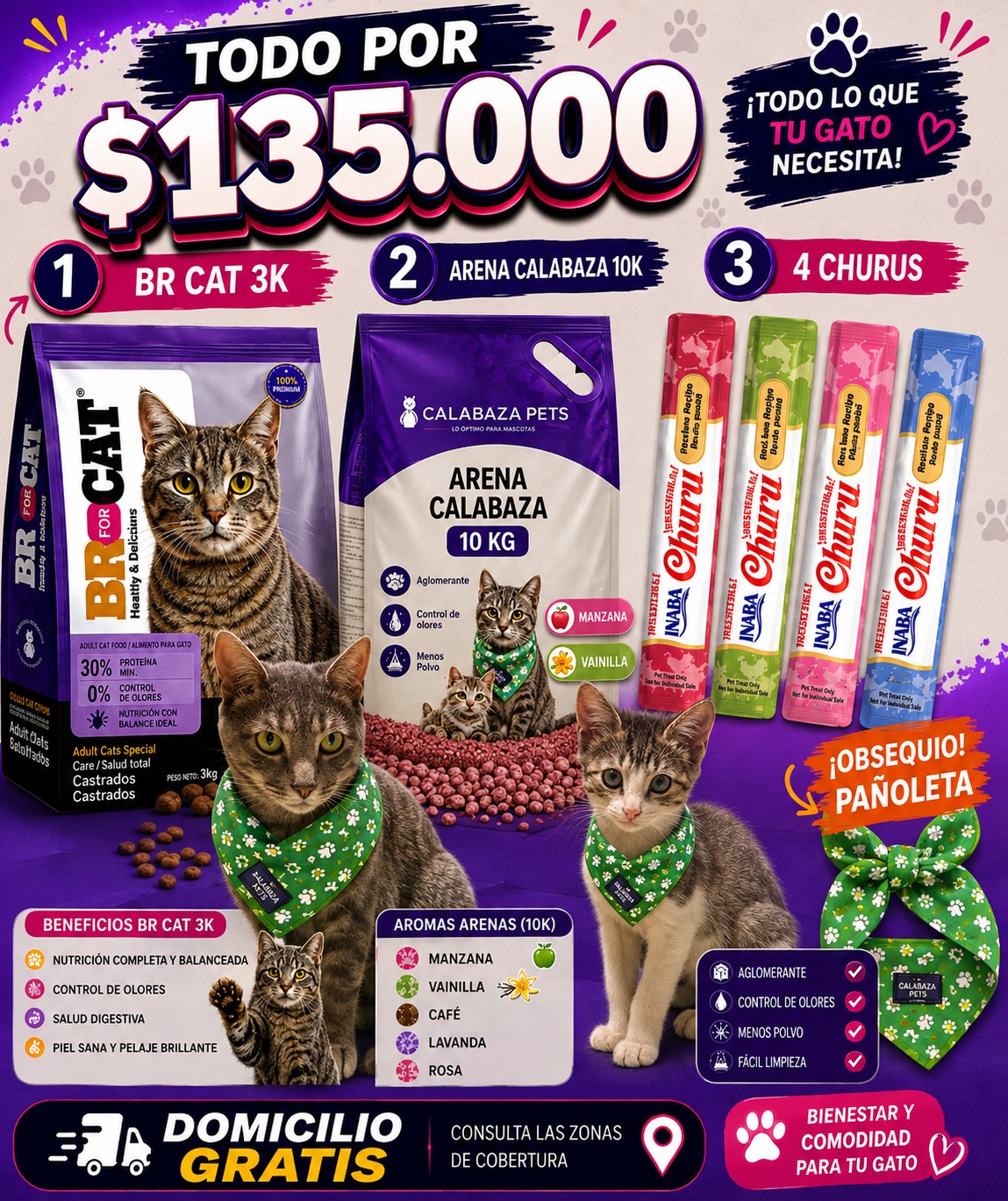 Combo Gato Rey del Apartamento